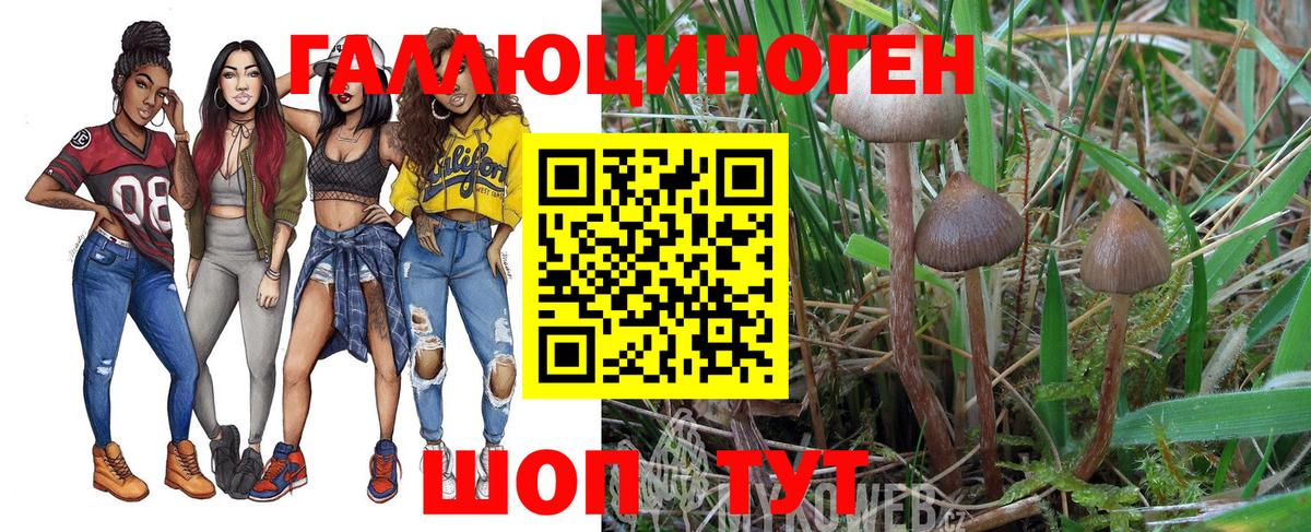 где купить наркотик  Галлюциногенные грибы мицелий  Вход с VPN  Галлюциногенные грибы мухоморы  Кандалакша 